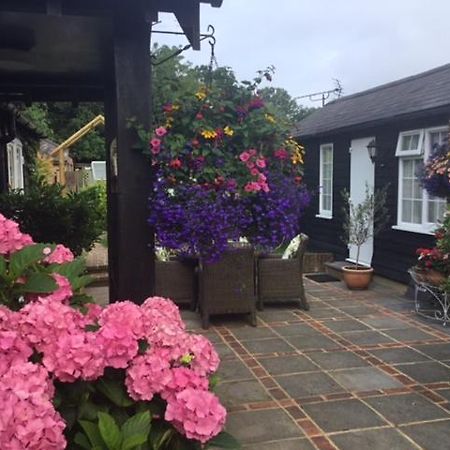 Bed and Breakfast The Coach House Rudgwick Exterior foto